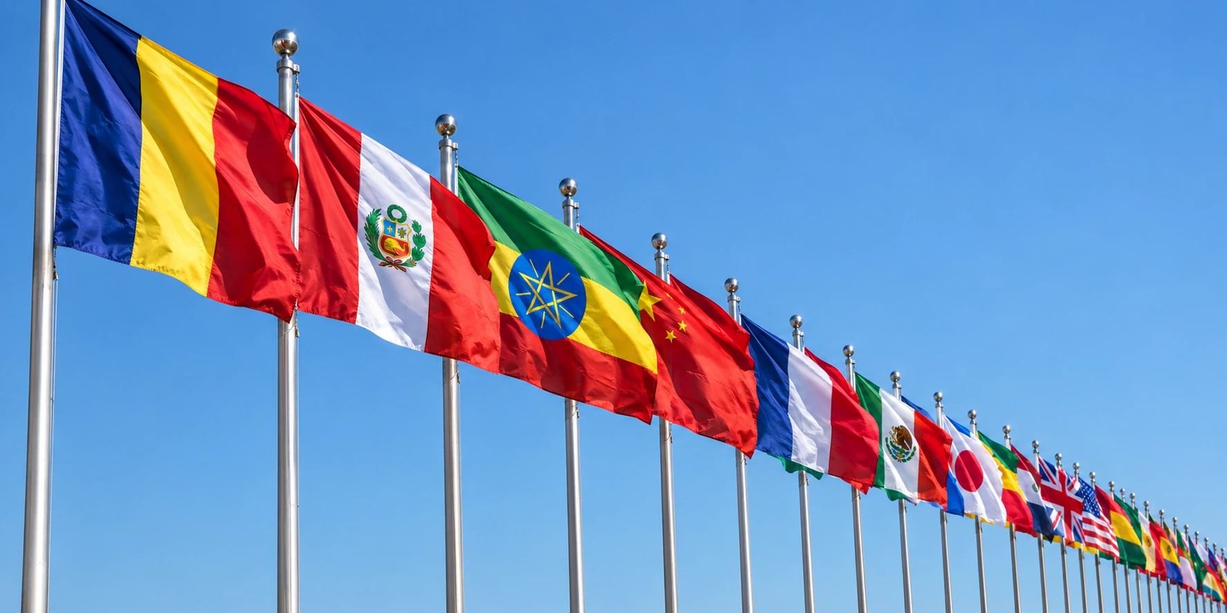 International education community
